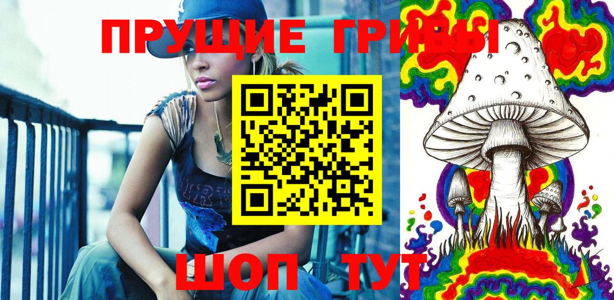 Дятьково  Галлюциногенные грибы MAGIC MUSHROOMS  Вход с VPN  Галлюциногенные грибы Psilocybe 
