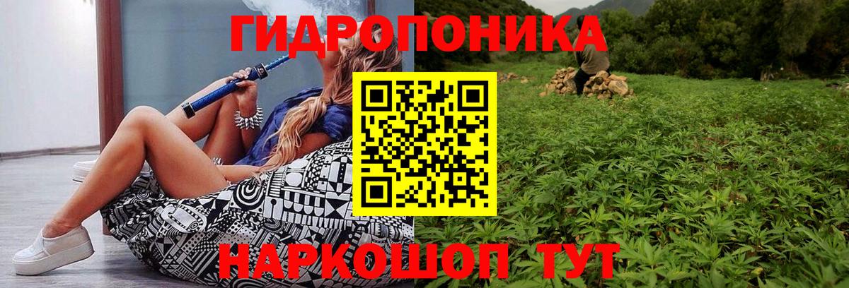 Марихуана гибрид  Конопля гибрид  Бошки Шишки Bruce Banner  Каннабис конопля  Вход с VPN  Дятьково 